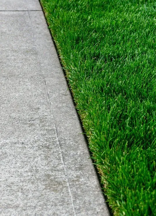 Custom landscape design in Milwaukee, WI by Grow Green