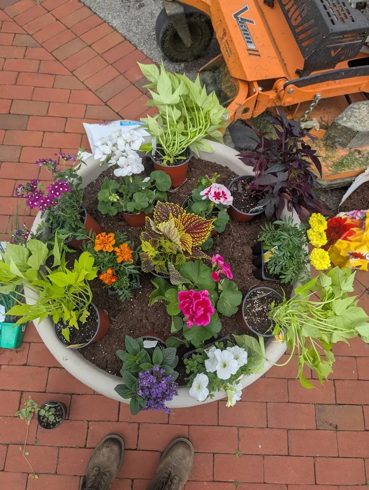 Expert yard cleanup service with custom design across Marengo, OH - Grow Greener