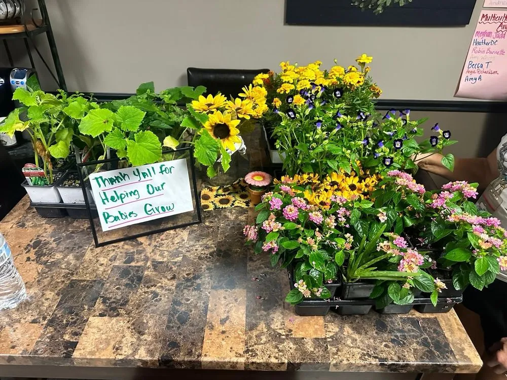 Professional yard maintenance in Coppell, TX by Grow It Land Designs & Garden Center