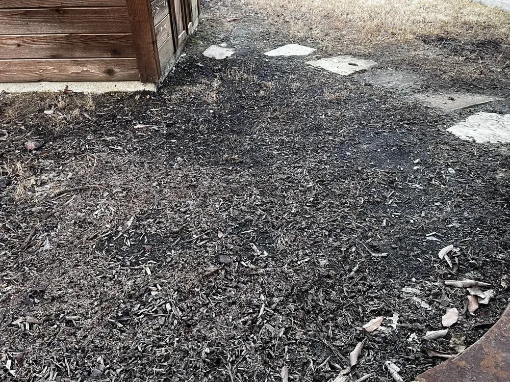 Top-rated yard cleanup service experts serving Coppell, TX - Grow It Land Designs & Garden Center