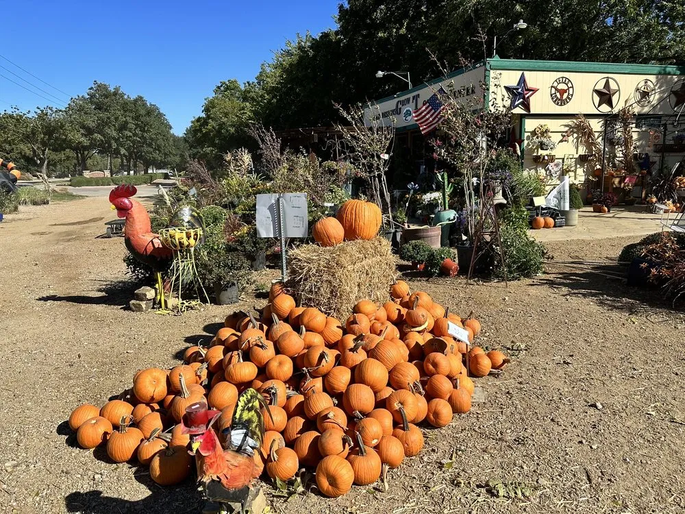 Local residential landscaping for year-round maintenance across Coppell, TX - Grow It Land Designs & Garden Center