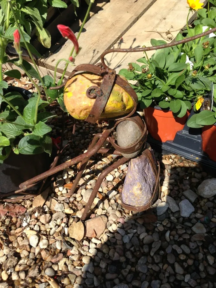 Top-rated landscape installation in Coppell, TX - Grow It Land Designs & Garden Center