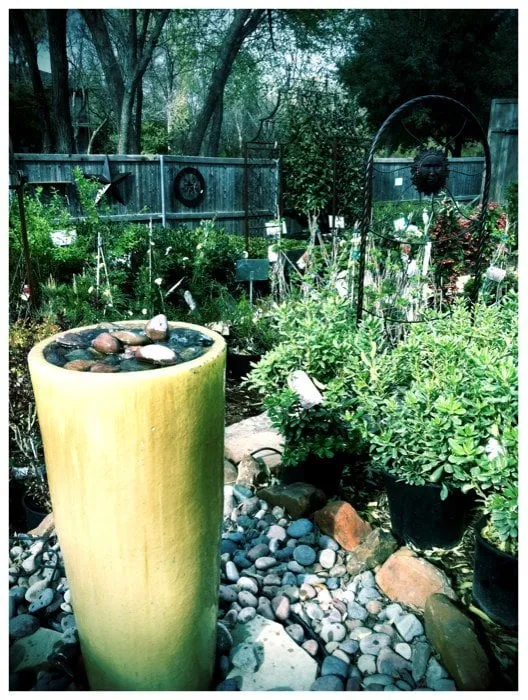 Trusted garden landscaping in Coppell, TX by Grow It Land Designs & Garden Center