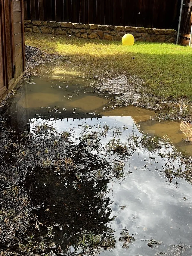 Trusted outdoor landscaping in Coppell, TX by Grow It Land Designs & Garden Center