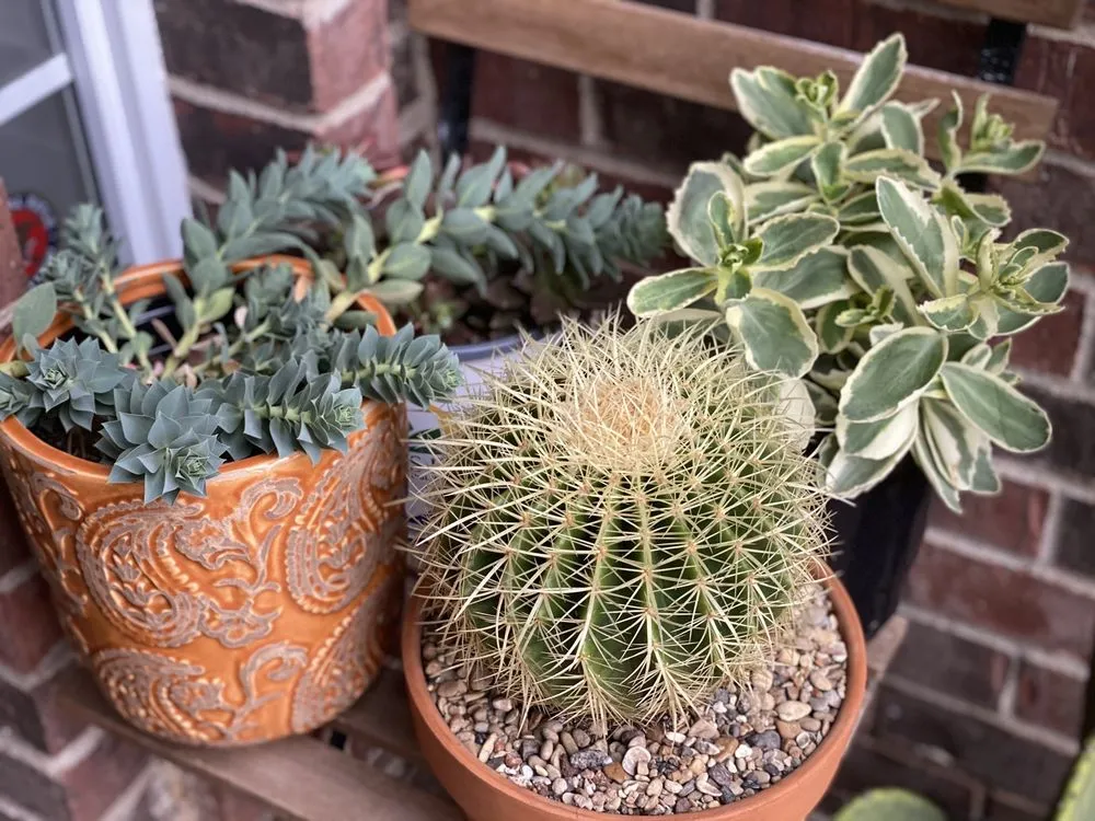 Trusted landscape design in Coppell, TX by Grow It Land Designs & Garden Center