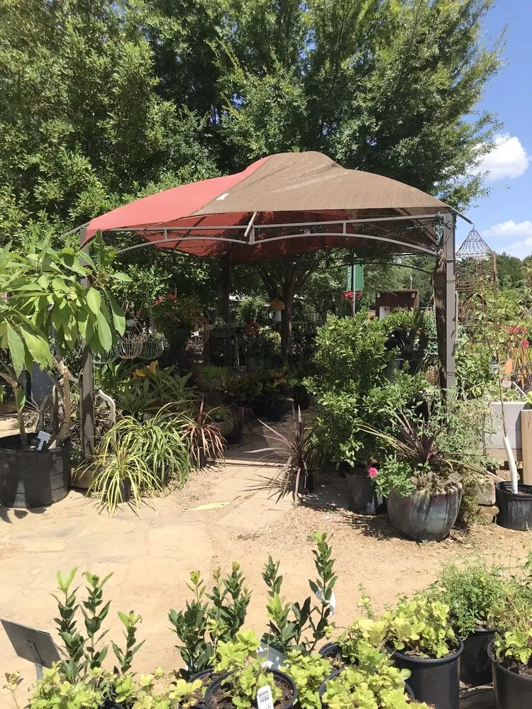 Expert lawn mowing service experts serving Coppell, TX - Grow It Land Designs & Garden Center