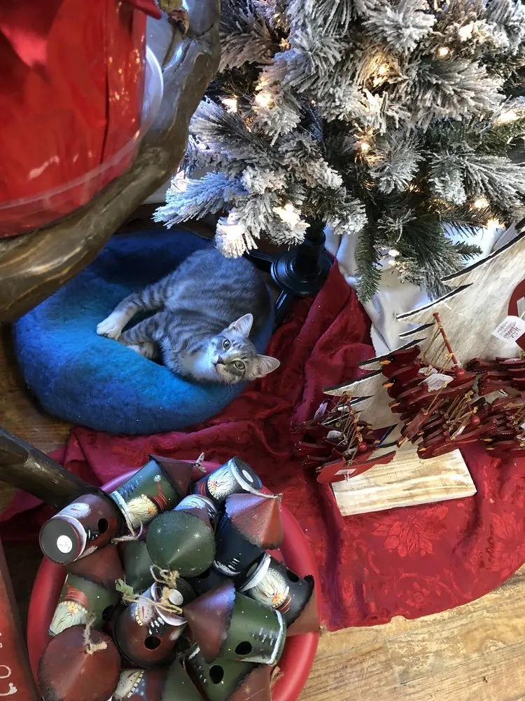 Local outdoor landscaping near you across Coppell, TX - Grow It Land Designs & Garden Center