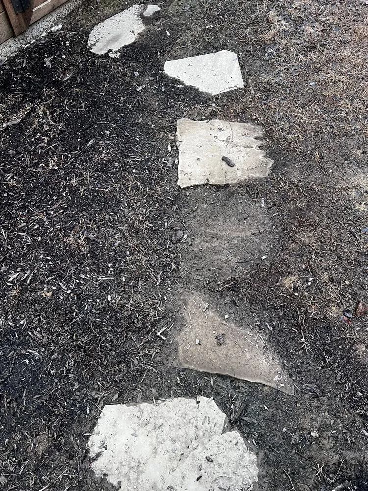 Professional landscape installation near you in Coppell, TX by Grow It Land Designs & Garden Center