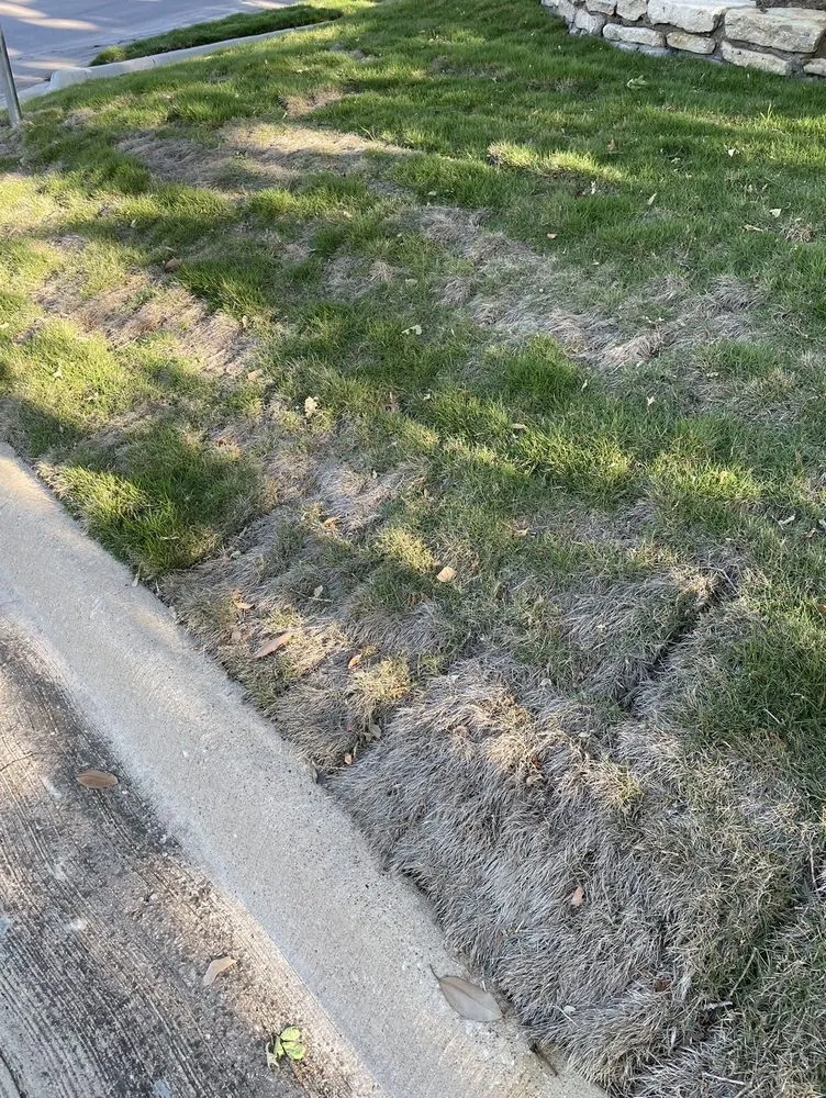 Trusted landscape installation experts serving Coppell, TX - Grow It Land Designs & Garden Center