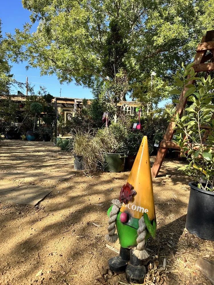 Local lawn mowing service for beautiful yards in Coppell, TX by Grow It Land Designs & Garden Center