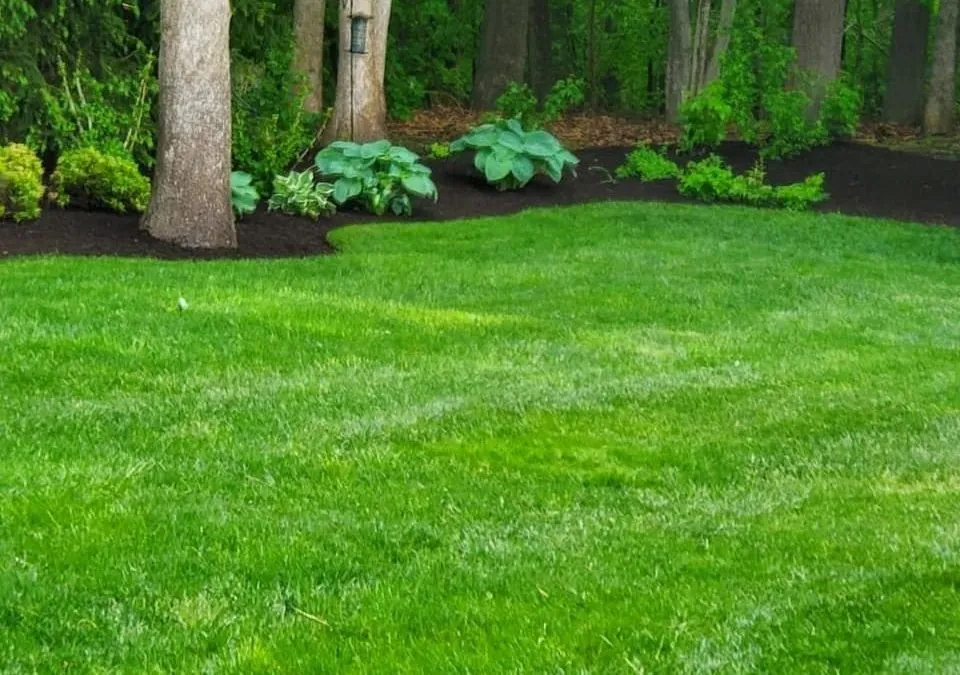 Top-rated yard cleanup service in Columbia, SC by Grow It, Mow It