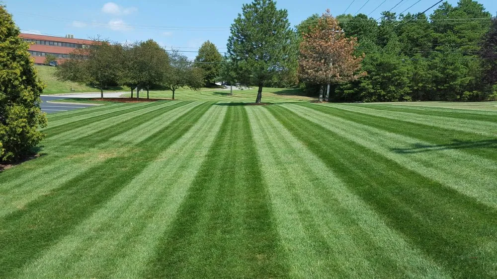 Reliable landscape design in Columbia, SC - Grow It, Mow It