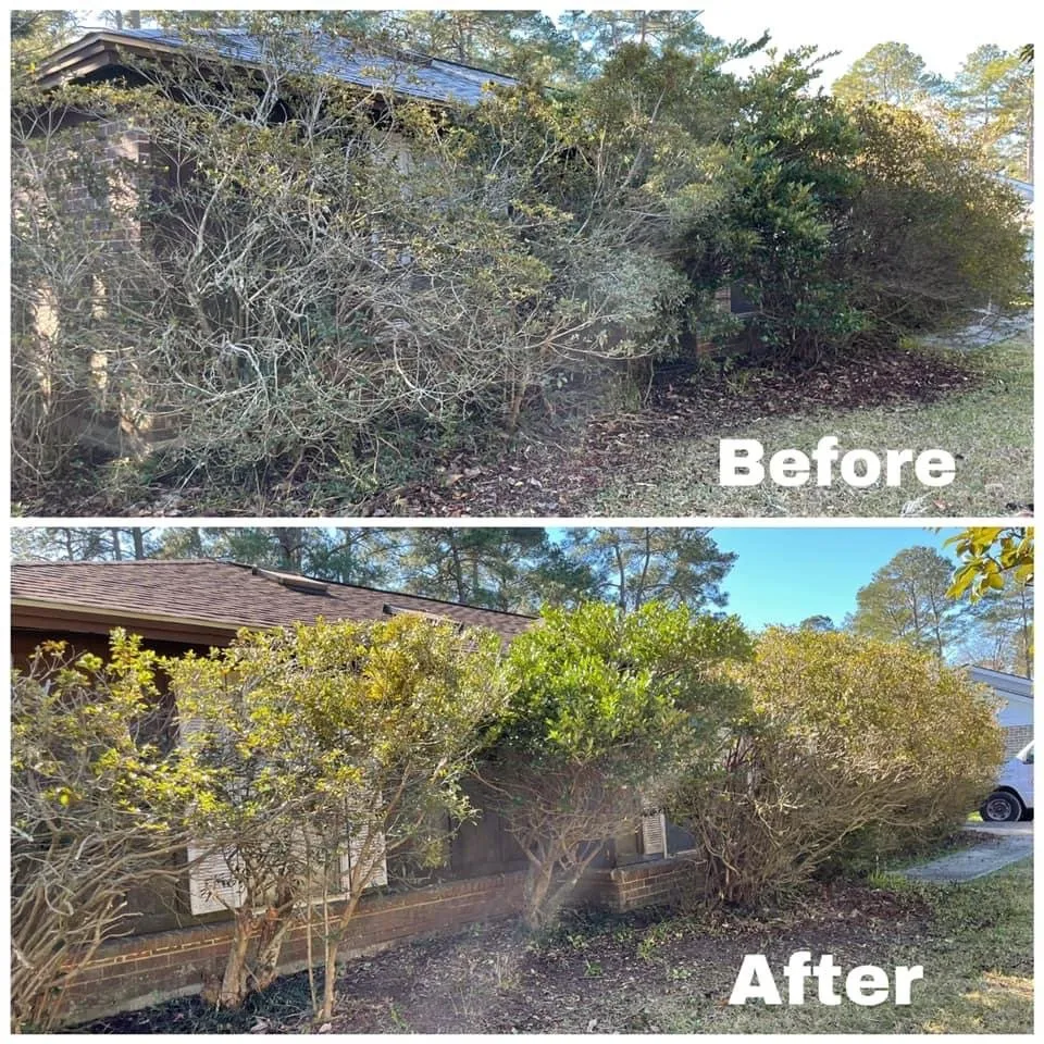 Trusted yard cleanup service in Frederick, MD - Grow It We Mow It