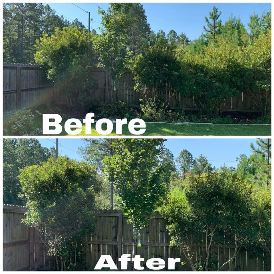 Reliable yard cleanup service in Frederick, MD - Grow It We Mow It