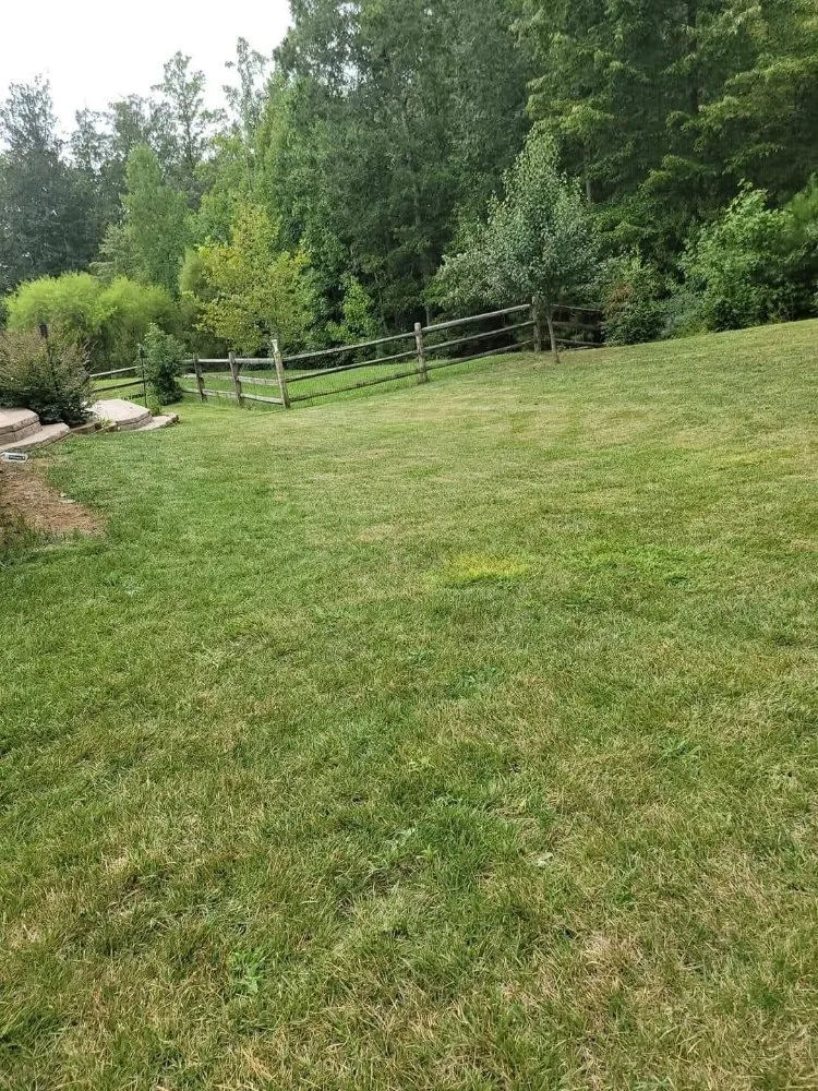 Custom landscaping services in Lexington Park, MD - Grow It, We Mow It