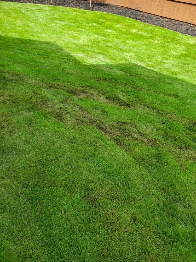 Affordable landscape installation for outdoor upgrades in Kennesaw, GA by Grow Landscape Solutions