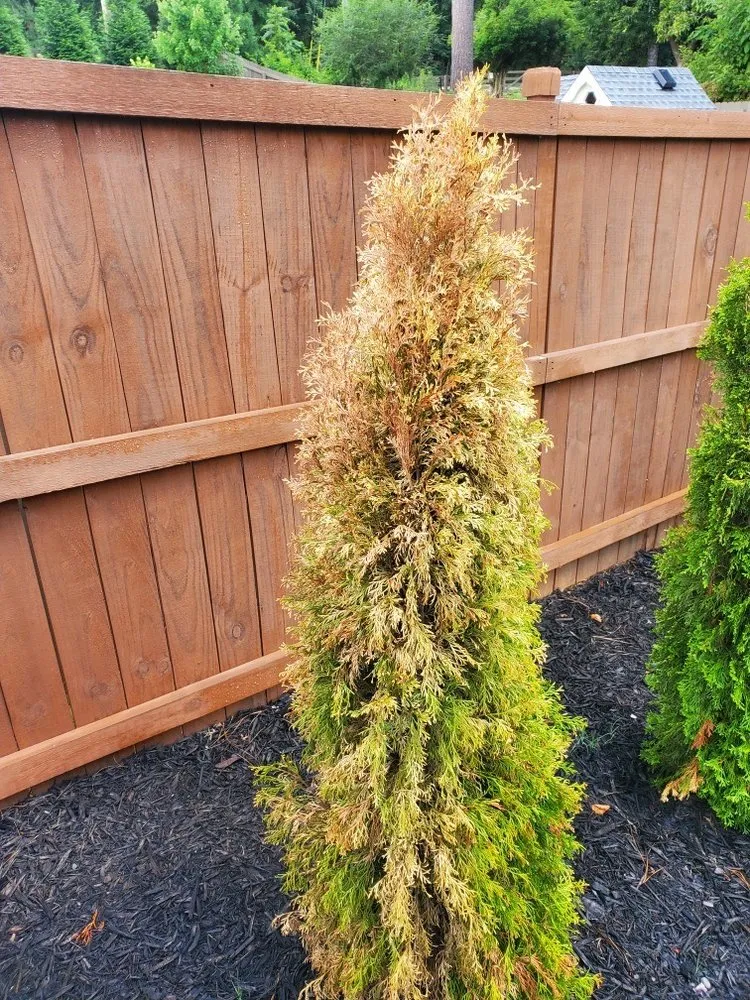 Trusted residential landscaping experts serving Kennesaw, GA - Grow Landscape Solutions