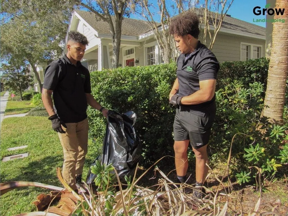 Trusted lawn care service experts serving Trinity, FL - Grow Landscaping