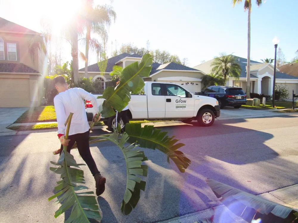 Professional landscape installation in Trinity, FL by Grow Landscaping