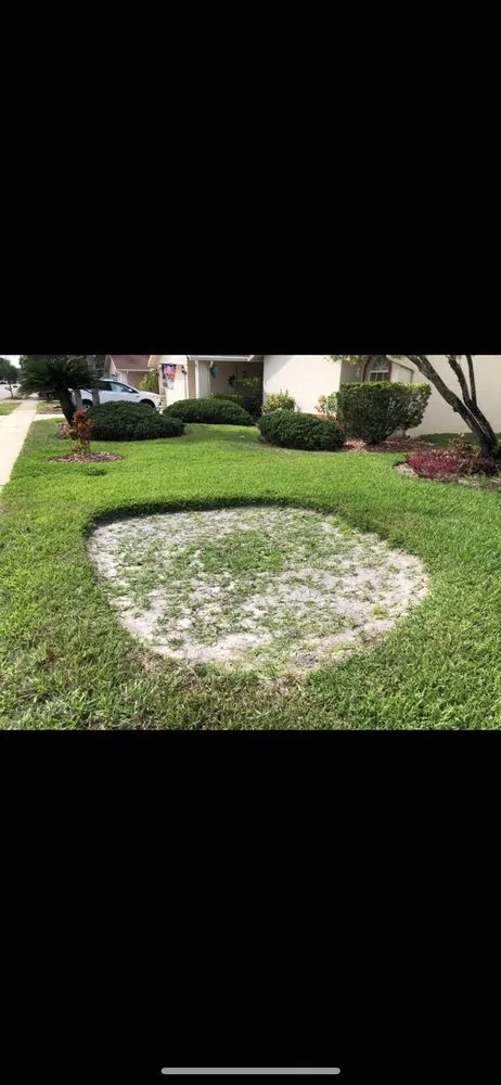 Local outdoor landscaping in Trinity, FL - Grow Landscaping