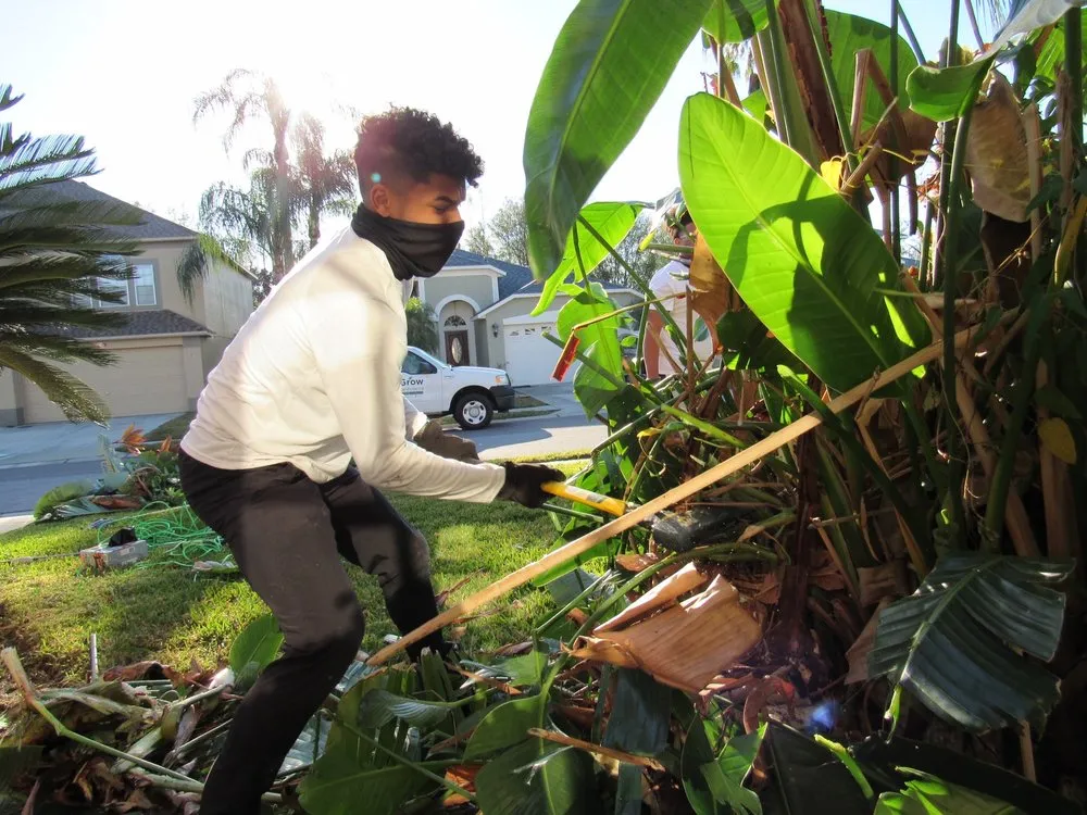 Professional lawn mowing service experts serving Trinity, FL - Grow Landscaping