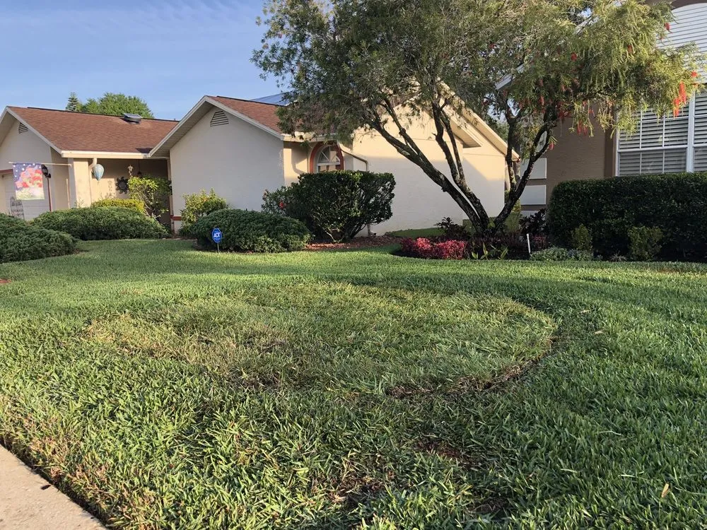 Expert yard cleanup service in Trinity, FL - Grow Landscaping