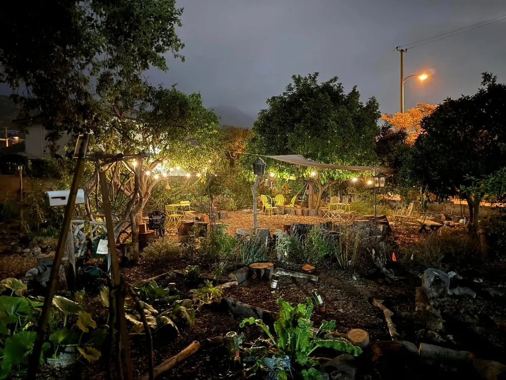 Expert yard cleanup service in Monrovia, CA - Grow Monrovia