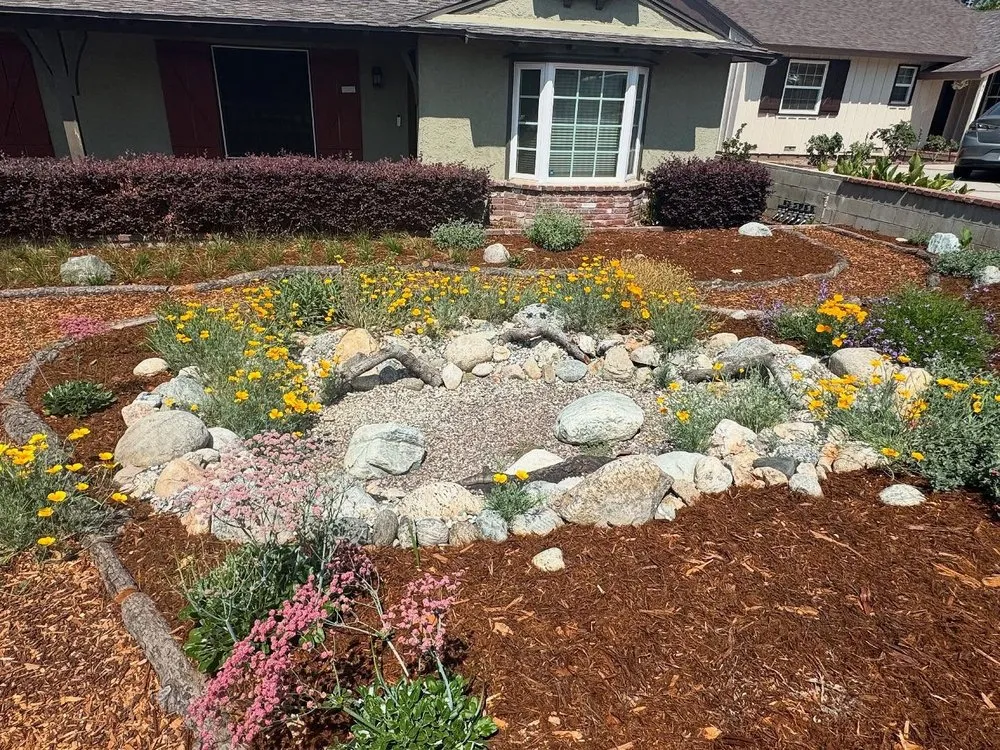Professional landscaping services for year-round maintenance across Monrovia, CA - Grow Monrovia