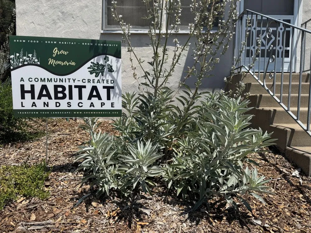 Reliable landscaping services for homes in Monrovia, CA by Grow Monrovia