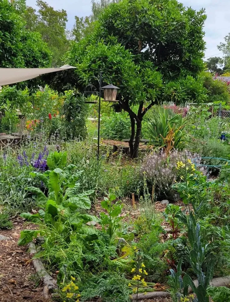 Professional residential landscaping near you across Monrovia, CA - Grow Monrovia