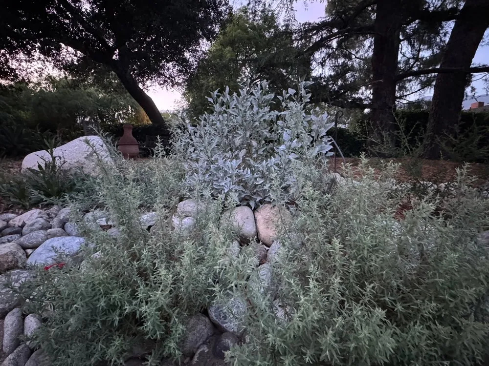 Local lawn mowing service for outdoor upgrades across Monrovia, CA - Grow Monrovia