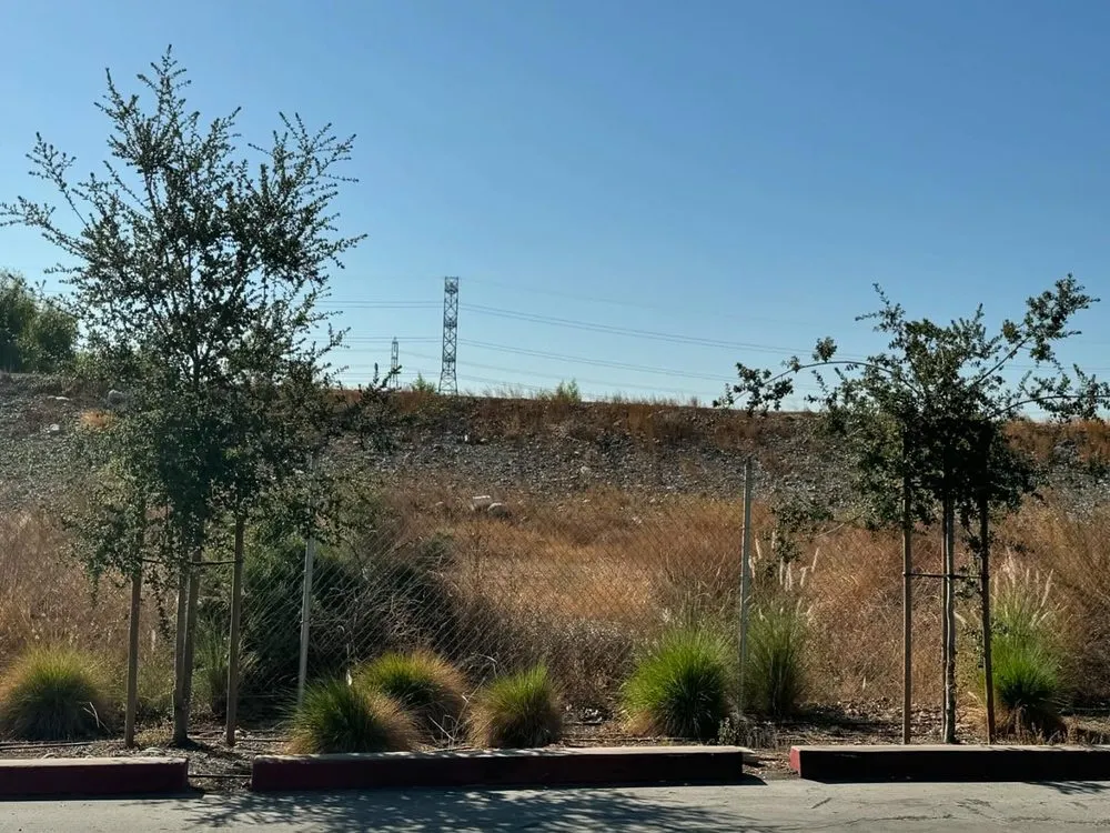 Top-rated garden landscaping experts serving Monrovia, CA - Grow Monrovia