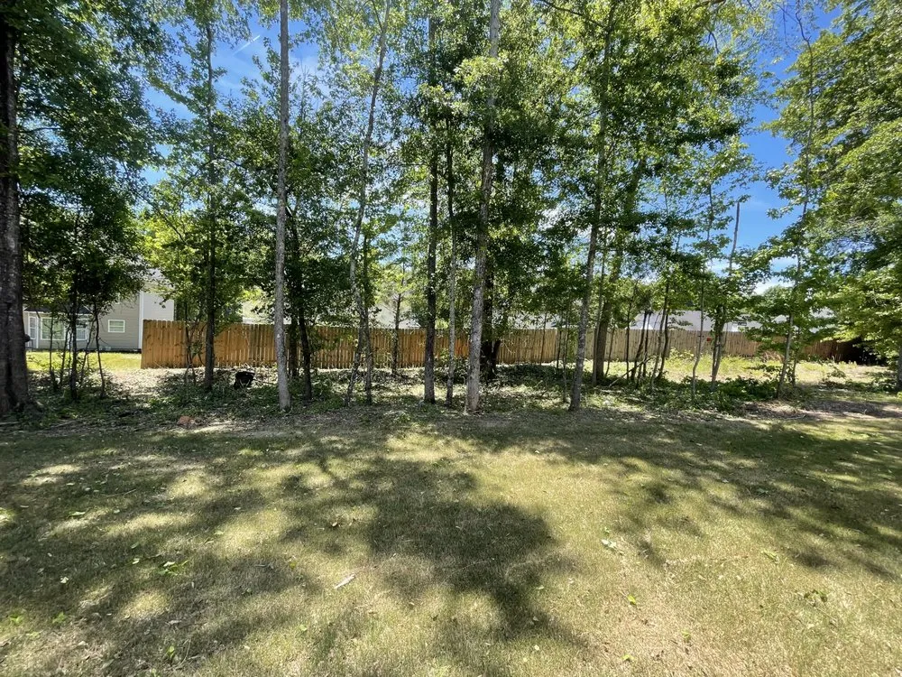 Professional lawn care service in Griffin, GA - Grow N Mow Landscaping