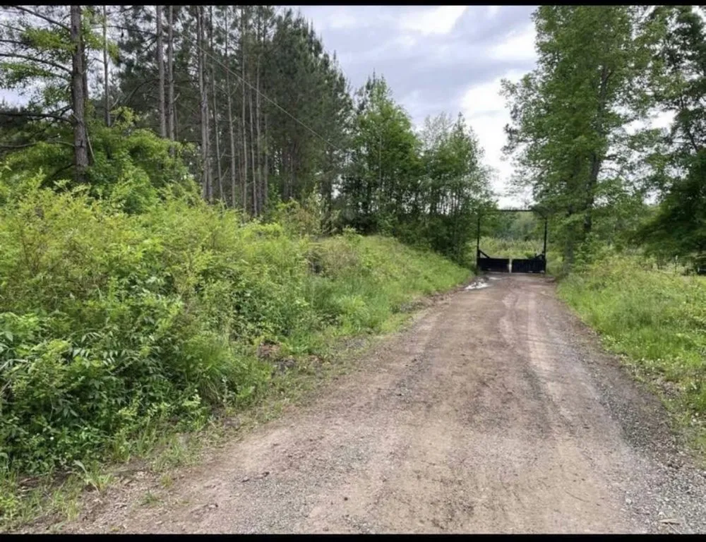 Professional lawn care service experts serving Griffin, GA - Grow N Mow Landscaping