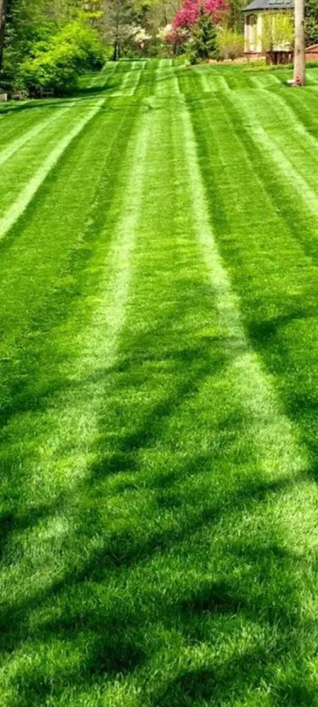 Reliable lawn mowing service experts serving Oxford, PA - Grow N Mow