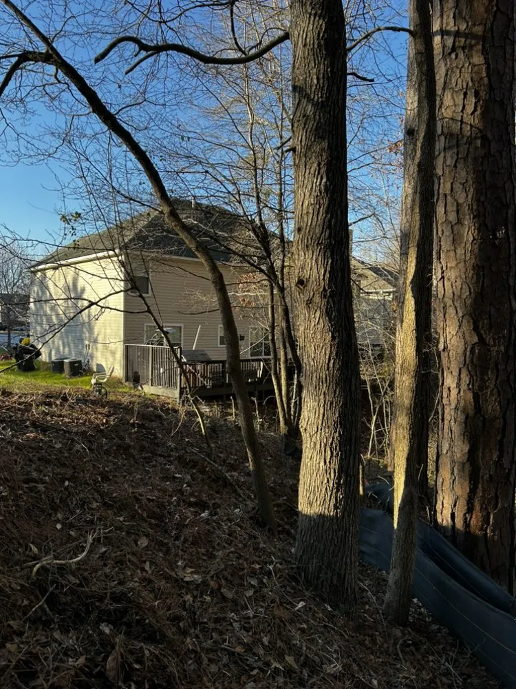 Custom yard maintenance in Dawsonville, GA by Grow With Crow Landscape And Hardscape