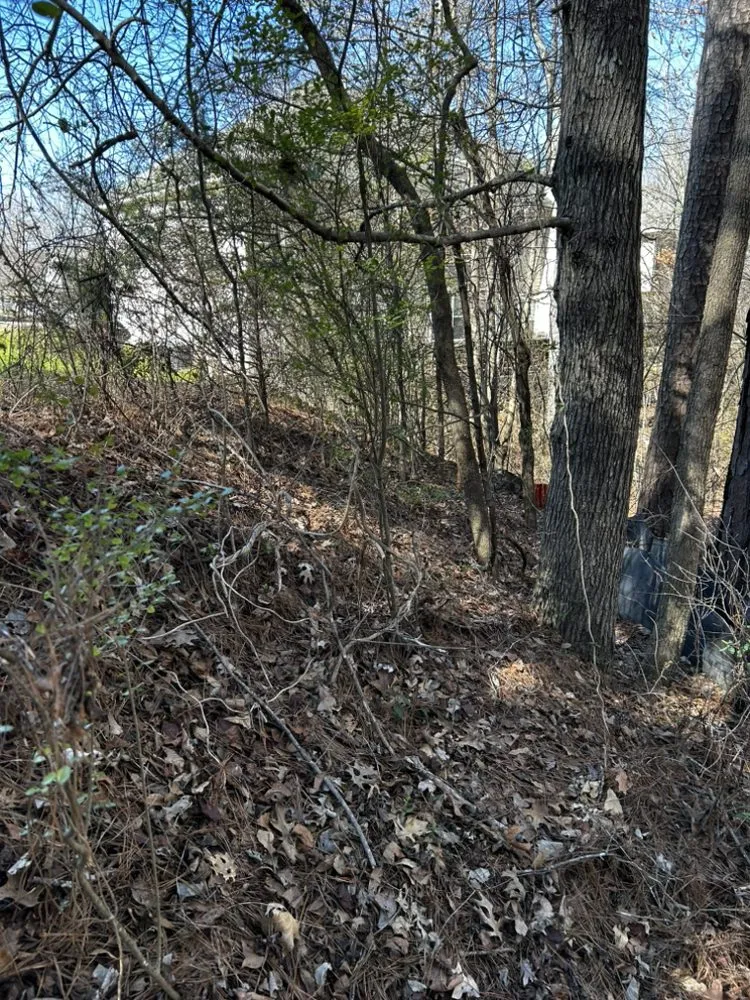 Expert yard maintenance for outdoor upgrades in Dawsonville, GA by Grow With Crow Landscape And Hardscape