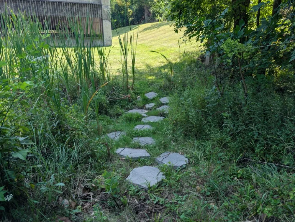 Top-rated lawn care service for beautiful yards across Kokomo, IN - Grow With Gordon