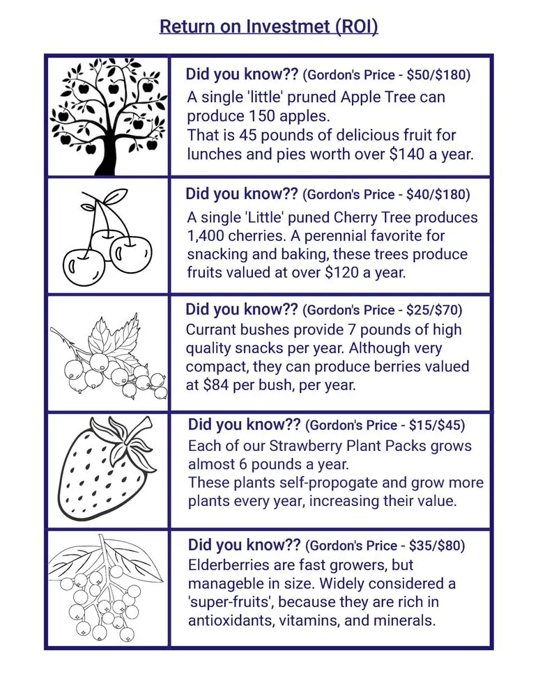 Trusted yard cleanup service in Kokomo, IN by Grow With Gordon