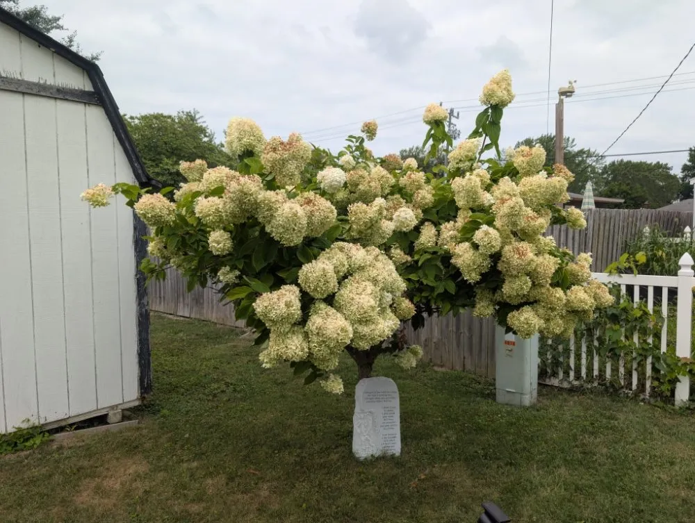 Local outdoor landscaping for homes in Kokomo, IN by Grow With Gordon