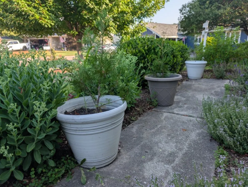 Custom lawn mowing service for residential properties in Kokomo, IN by Grow With Gordon