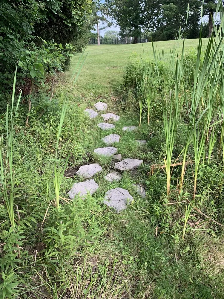 Reliable yard maintenance for beautiful yards in Kokomo, IN by Grow With Gordon