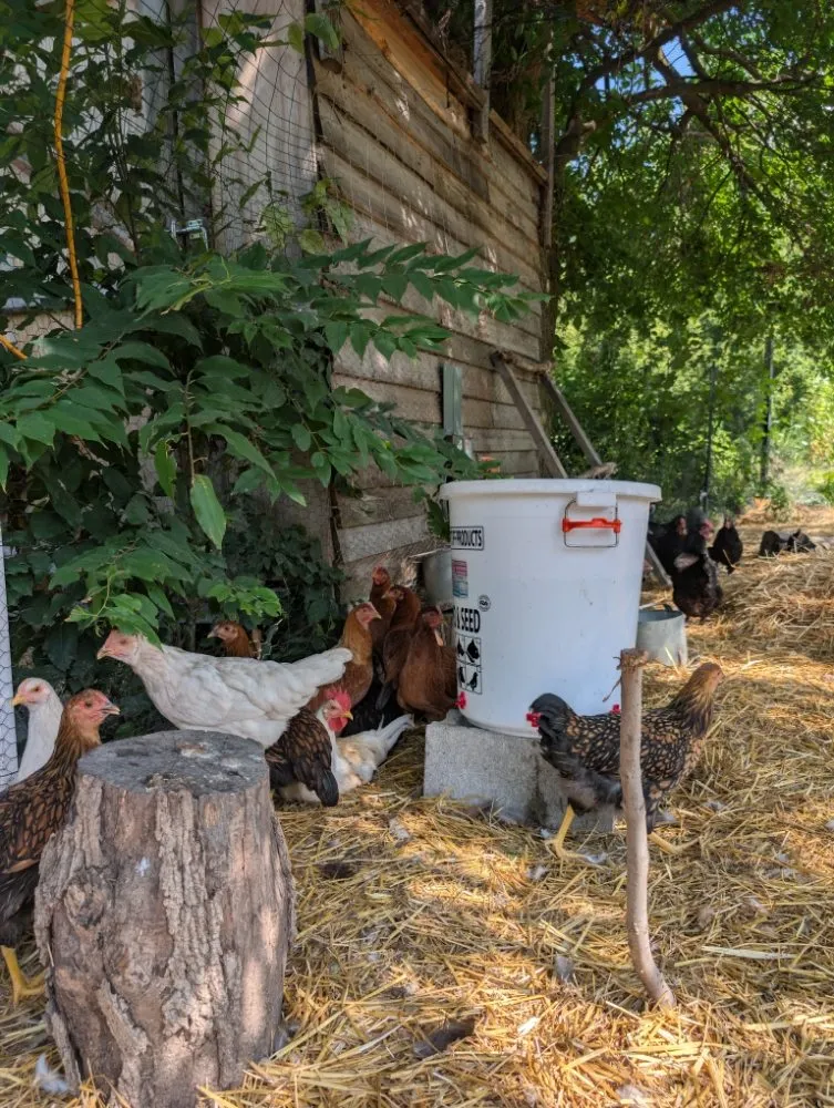 Custom landscape installation in Kokomo, IN by Grow With Gordon