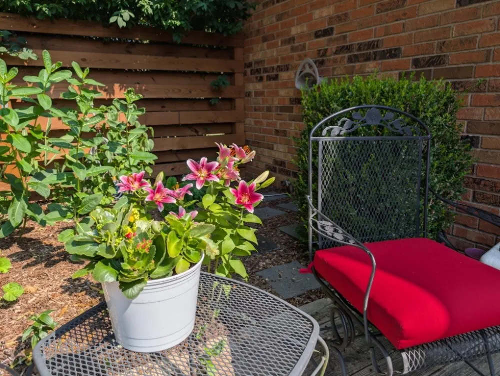 Trusted garden landscaping for outdoor upgrades in Kokomo, IN by Grow With Gordon