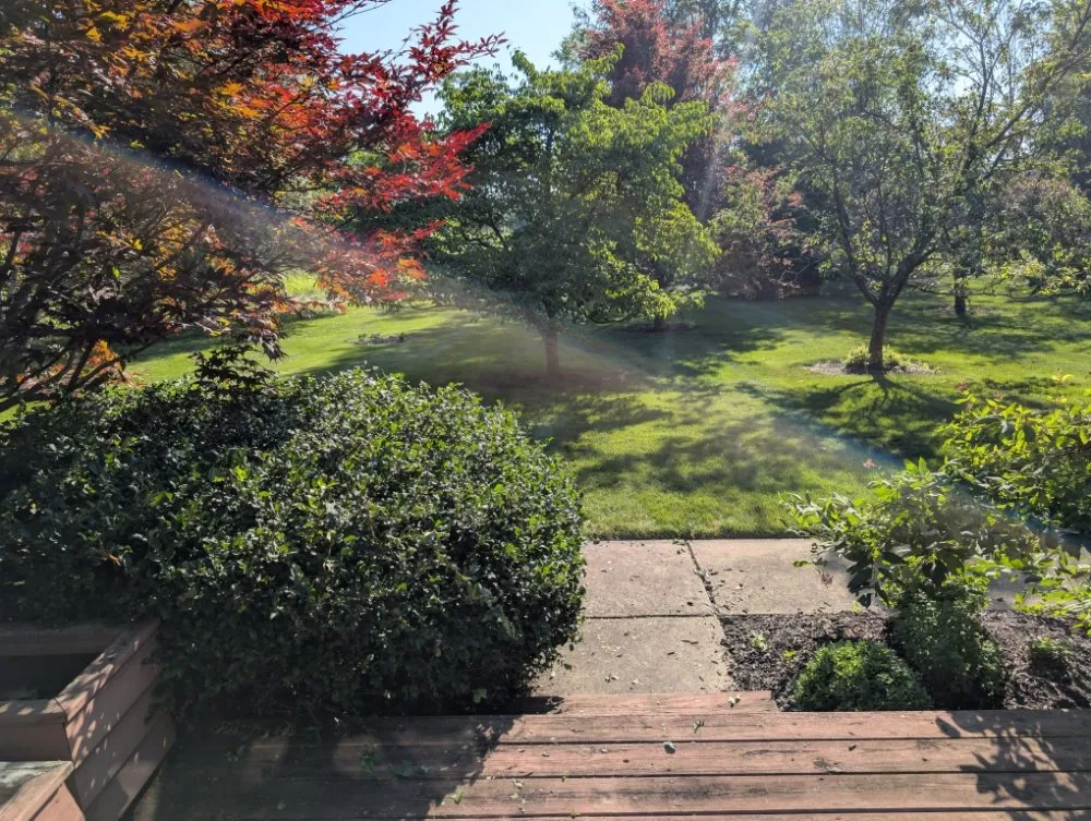 Professional landscaping services experts serving Kokomo, IN - Grow With Gordon