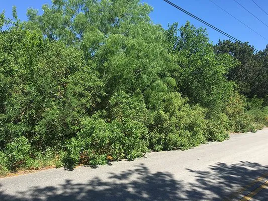 Grow with the Flow Logo