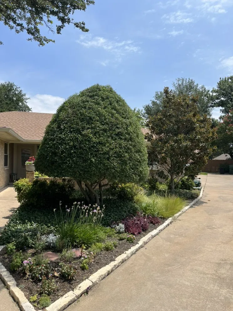 Affordable lawn mowing service near you in Burleson, TX by Grow Your Landscape