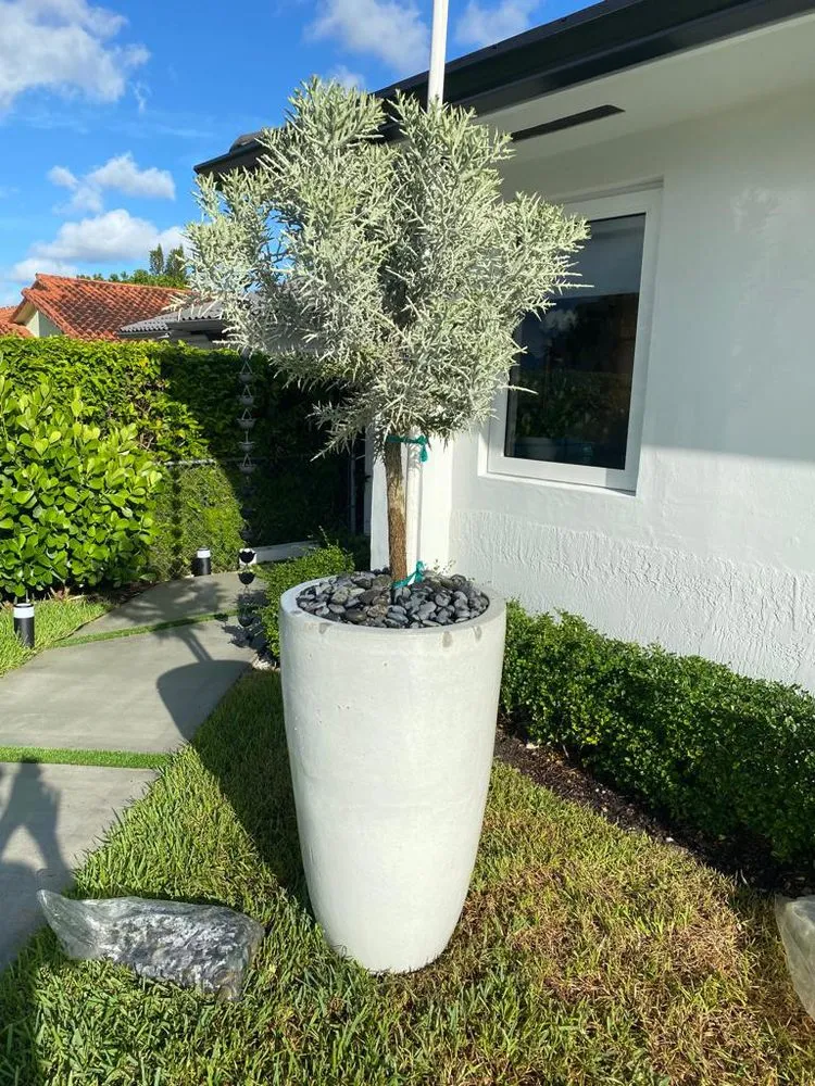 Custom residential landscaping experts serving Burleson, TX - Grow Your Landscape