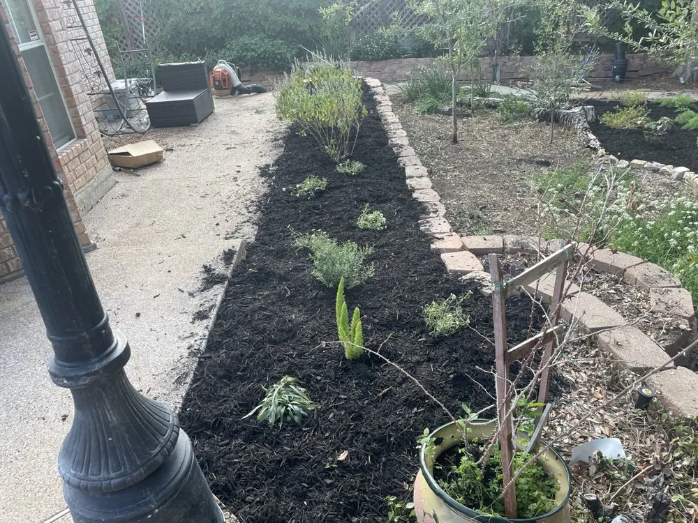 Professional outdoor landscaping in Burleson, TX by Grow Your Landscape