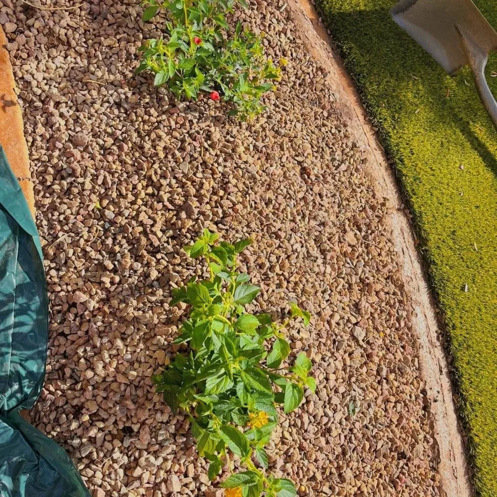 Local landscape installation experts serving North Las Vegas, NV - Growaseed Landscape